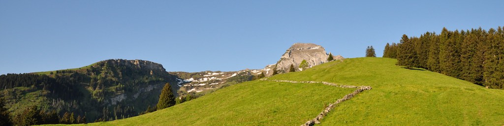 Stacks Image 7